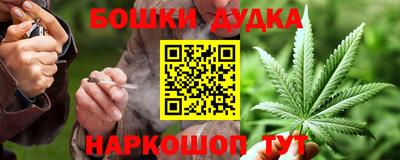 дживик Кингисепп