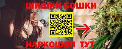 дживик Кингисепп