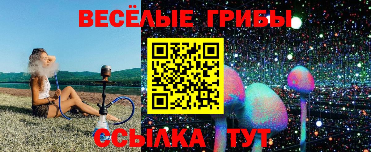 Кохма  Галлюциногенные грибы GOLDEN TEACHER  Галлюциногенные грибы Psilocybine cubensis  Вход с VPN 