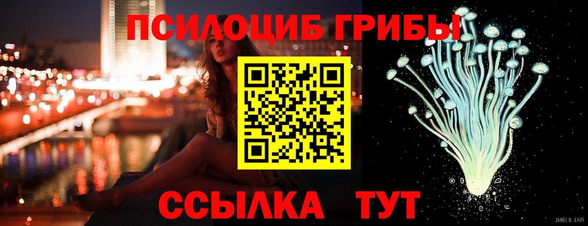 Галлюциногенные грибы Psilocybe Кохма